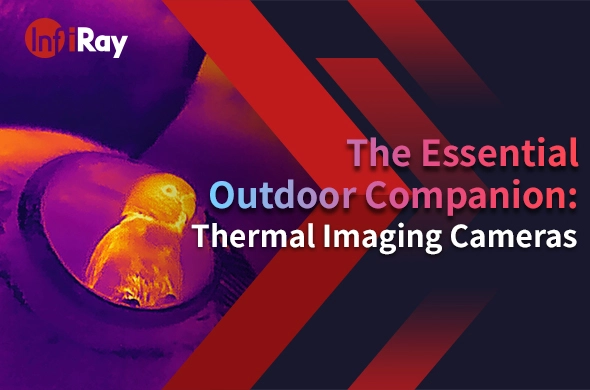 The Essential Outdoor Companion: Thermal Imaging Cameras