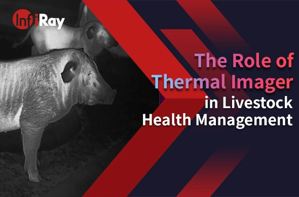 The role of thermal imager in livestock health management