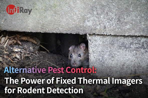 Alternative Pest Control: The Power of Fixed Thermal Imagers for Rodent Detection